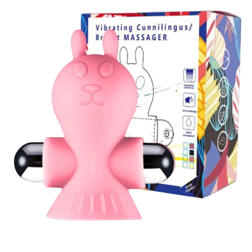 Nipple Sucker With Bullet Vibrators Clitoris Breast Stimulator for Womenimg